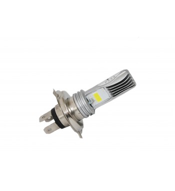 FOCO DEL. LED. 12V. 10WX2...